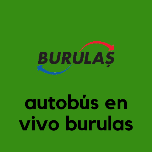 Bursa Burulas Software web de seguimiento de autobuses en vivo