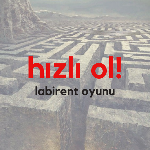 Hızlı Ol! Labirent Oyunu Hızlı Ol! Labirent Oyunu